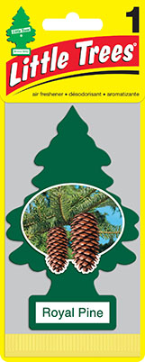 Pinito little trees royal pine